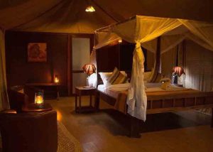 Tarangire-Simba-Lodge