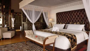 lake manyara kilimamoja moja