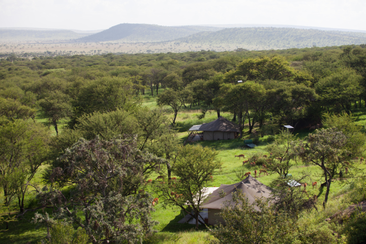 Elewana Serengeti Viewss