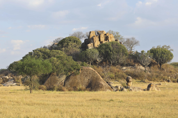 A Large Rocks And Trees In A Field