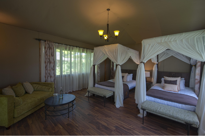 Lions Paw camp rooms