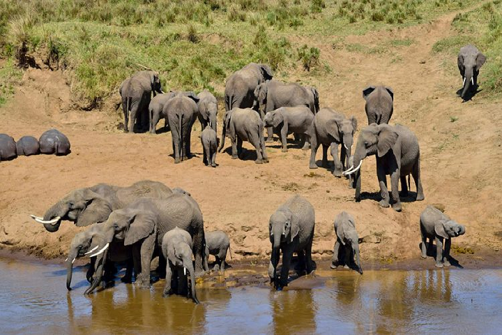 Best Tanzania safari