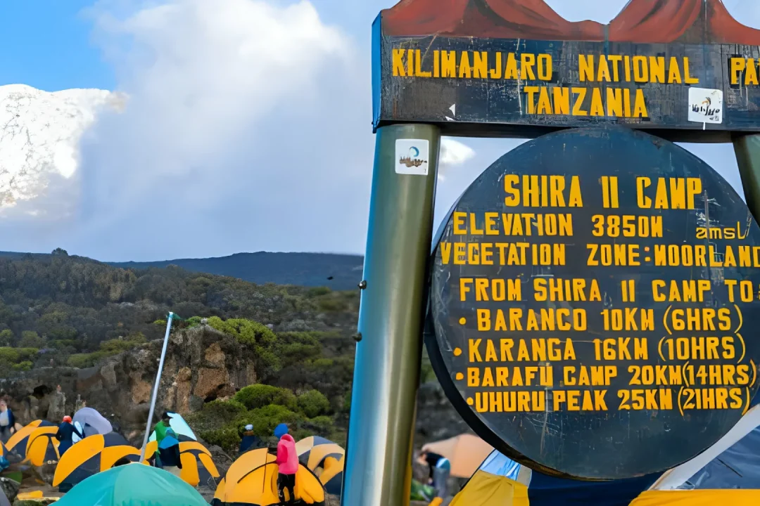 Kilimanjaro