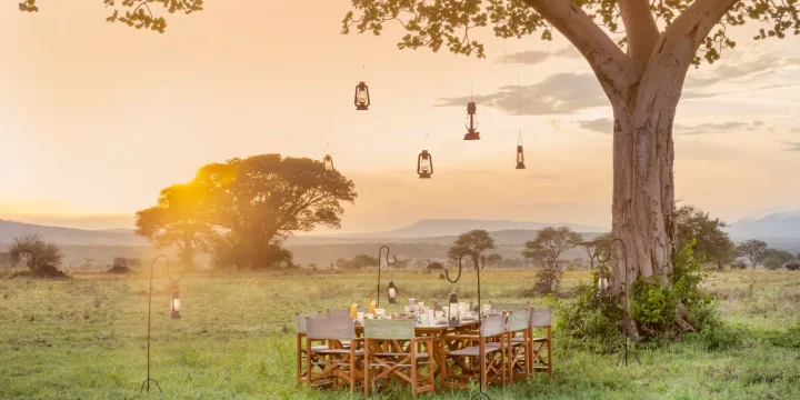 Serengeti and Zanzibar safari, table set up in a grassy field