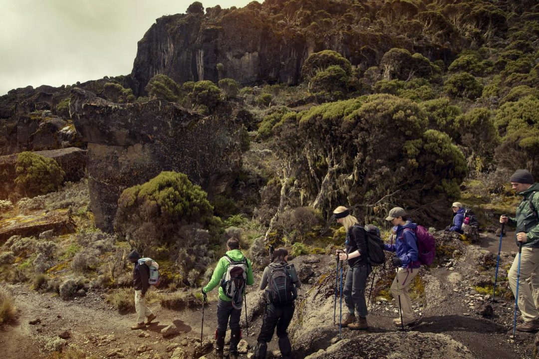 Machame Route